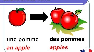 French Lesson 92  Plural nouns Grammar Rules Pronunciation  Le pluriel des noms en français [upl. by Betsy]