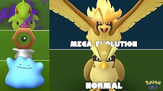 Wild shiny pidgey evolves into mega pidgeot in Pokemon GO [upl. by Teik457]