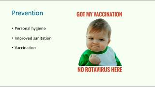 Rotavirus • Structure Replication Pathogenesis Vaccines ✓ Systemic Virology  Microbiology [upl. by Novyart608]