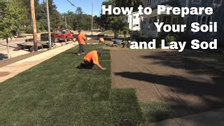 How to Prepare Your Soil and Lay Sod [upl. by Yoccm]