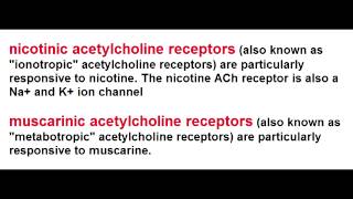 Ach Receptors  Nicotinic amp Muscarinic [upl. by Levi]