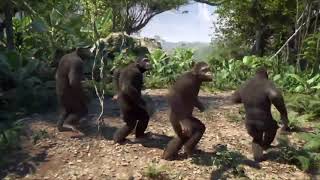 monkeys dancing [upl. by Hinda]