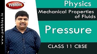 Pressure  Mechanical Properties of Fluids  Physics  Class 11  CBSE [upl. by Alburg65]