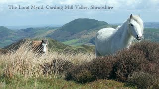 The Long Mynd Carding Mill Valley Shropshire [upl. by Colb]