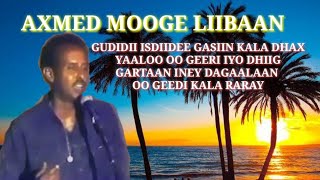 HEESTII GAASIRA AXMED MOOGE LIIBAAN qaaraami waayowaayosubscribe like [upl. by Anerual176]