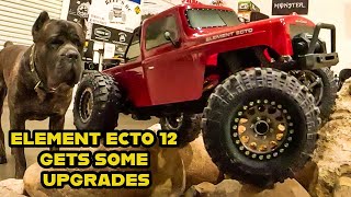 ELEMENT ECTO 12 UPGRADES [upl. by Ludovick]