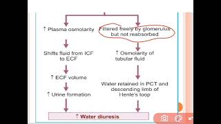 Osmotic Diuretics Mannitol in Cerebral Edema and Glaucoma [upl. by Antonie]