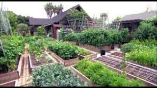 HomesteadingPart One What does a single black woman do with 12 acres of land [upl. by Mitch]