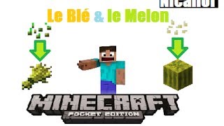 TUTO Le Blé et le Melon  Minecraft Pocket Edition [upl. by Lord]