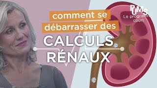 Comment éliminer les calculs rénaux dans les reins pour une meilleure santé [upl. by Hsiwhem]