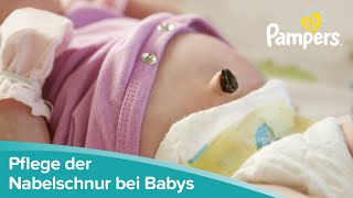 Pflege der Nabelschnur bei Babys und Neugeborenen  Pampers [upl. by Squire25]