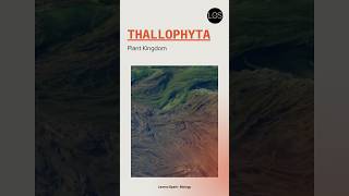 Division Thallophyta Class 11 Biology shorts biology [upl. by Bordy]