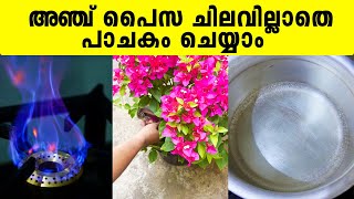 അഞ്ച് പൈസ ചിലവില്ലാതെ പാചകം ചെയ്യാം  BIO GAS  Iype Vallikadan  Bio Gas Plant  Mavelikara [upl. by Nosduh980]