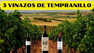 🍇 Vino TEMPRANILLO ​💯​ 3 EXCELENTES Vinos de UVA TEMPRANILLO  2023 [upl. by Charteris]