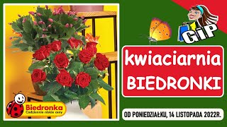 BIEDRONKA  Oferta od Poniedziałku 14112022  Kwiaciarnia Biedronki [upl. by Birdt]