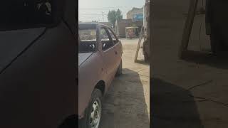 Suzuki margalla viralvideo car cats [upl. by Jorie]