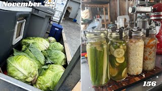 Pickled Cabbage  Water Bath Canning Coleslaw  Pickles  Sweet Brine  Off Grid Australia 156 [upl. by Yesteb845]