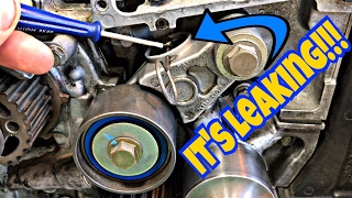 NEW Timing Belt Kit Needed  EASY WAY to Check [upl. by Hartzell]