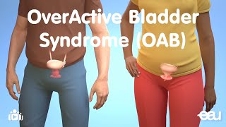 OverActive Bladder Syndrome [upl. by Nya]