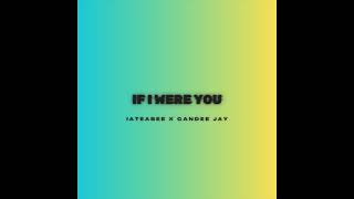 iateabee x Candee Jay  If I Were You Radio Edit [upl. by Ailegra]