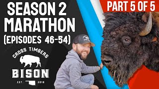 Cross Timbers Bison SEASON 2 MARATHON Part 5 of 5 [upl. by Tarsuss395]