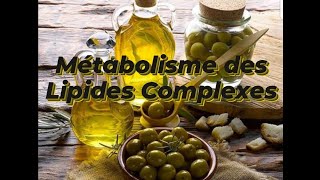 METABOLISME DES LIPIDES COMPLEXES [upl. by Abita]