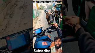 🙏 Gay Mata Har Har Mahadev 🐄🐄 shorts 1million youtube rider ktm gaymata subscribers [upl. by Kathryn]