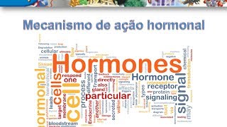 Curso de Bioquimica Mecanismo de ação hormonal [upl. by Knudson]