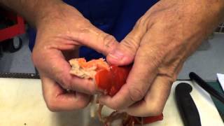 How to Prep and Cook Pre Cooked Lobster [upl. by Nessim]