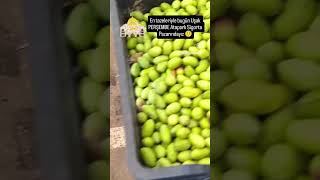 En tazeleriyle bugün Uşak Perşembe ATAPARK sigorta pazarındayız 🙂 reels sarma üzüm zeytin [upl. by Studdard310]