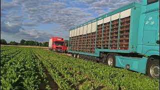 Auflass Heddesheim 14072024 Reg V 259 Ostfriesland [upl. by Bandler]