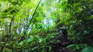 Bike hike👌 green nature hiking langka [upl. by Ihana]