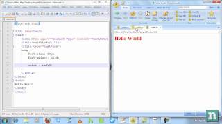 How to Target IE6 IE7 and IE8 Uniquely [upl. by Wilda]