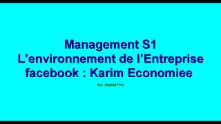 Management S1 quot L’environnement de l’Entreprise quot [upl. by Morell]