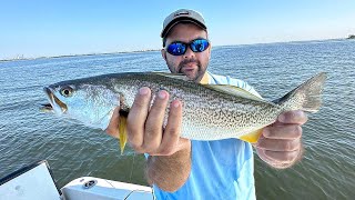 Landing 40 Weakfish With Peanut LIVE BUNKER amp JIGS [upl. by Nosyerg944]