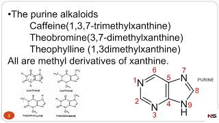 PHARMACOGNOSY  PURINE ALKALOIDS WITH TRICK [upl. by Sidell]