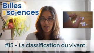 Billes de Sciences 15  Aurélie Froger  La classification du vivant [upl. by Armilda]