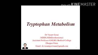 Tryptophan Metabolism  Serotonin and Melatonin Synthesis  Biochemistry [upl. by Newfeld769]