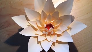 DIY Giant paper flowers  Backdrop decoration  Paper craft  papieren bloemen [upl. by Carie770]