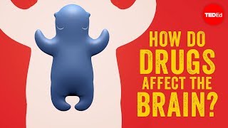 How do drugs affect the brain  Sara Garofalo [upl. by Dazraf296]