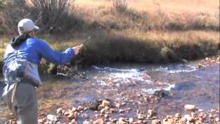 How to sink tenkara flies [upl. by Kissel581]