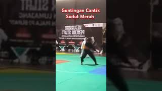 Pencak silat Fight Junior Guntingan Cantik Sudut merah dennywewey9649 [upl. by Eralc]