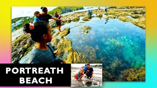 Epic Family Day at Portreath Beach Discovering Amazing Rockpools in Cornwall placestovisitCornwall [upl. by Sjoberg472]