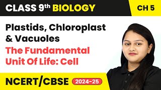 Plastids Chloroplast amp Vacuoles  The Fundamental Unit Of Life Cell  Class 9 Biology Chapter 5 [upl. by Rosenberg]