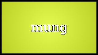 Mung Meaning [upl. by Rosenberg]