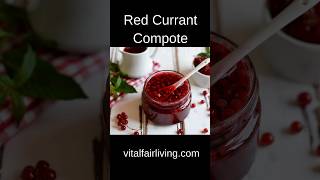 Easy Red Currant Berry Compote Your GoTo Recipe [upl. by Kovacev899]