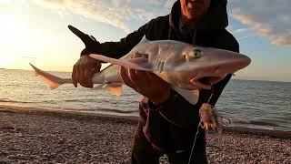 BLUE ANCHOR ON THE FISH [upl. by Enyedy]