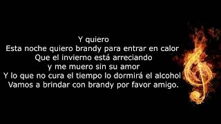 Esta Noche Quiero Brandy Dyango Letra [upl. by Latoyia]