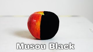 Musou Black—The New Worlds Blackest Paint Turns Anything Into A Shadow [upl. by Gnivri]