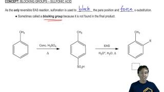 Blocking Groups Sulfonic Acid [upl. by Guidotti576]